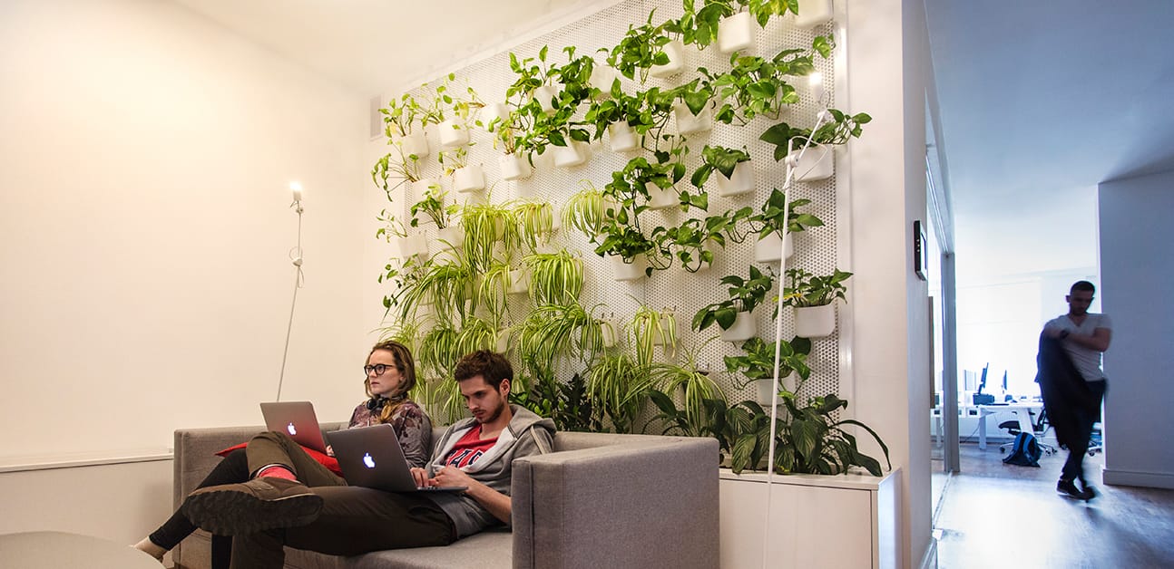 Monterail office 