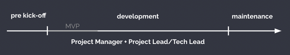 pm vs project lead