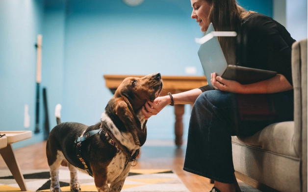 Girl and the dog in the office